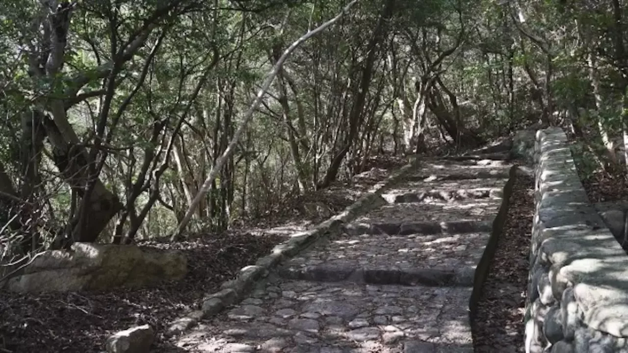 須磨アルプス 須磨浦公園から鉢伏山への登山道