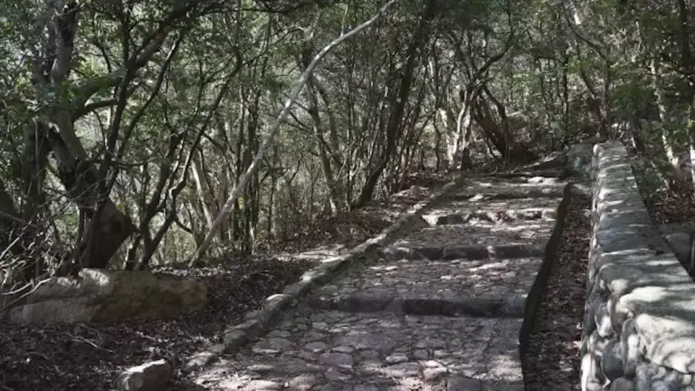 須磨アルプス 須磨浦公園から鉢伏山への登山道