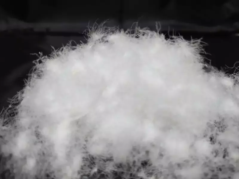 ダウンシュラフ 選び方 ヨーロピアンノーム