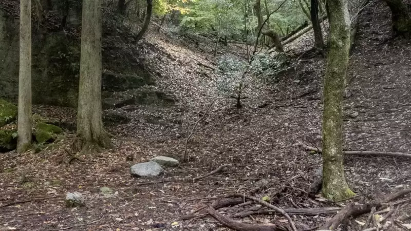 比叡山 登山 雲母坂登山道