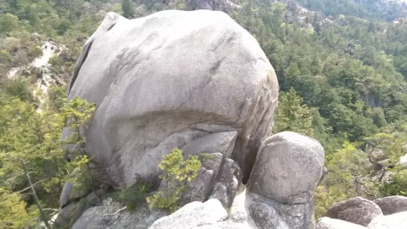 関西 登山 金勝アルプス