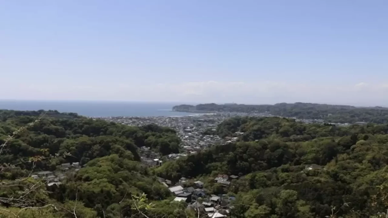 鎌倉アルプス 山頂