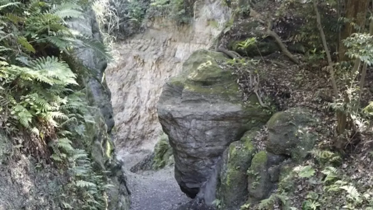 鎌倉アルプス 名越切通