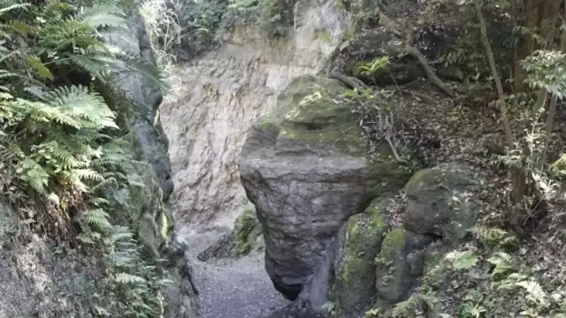 鎌倉アルプス 名越切通