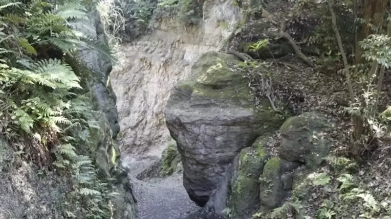 鎌倉アルプス 名越切通