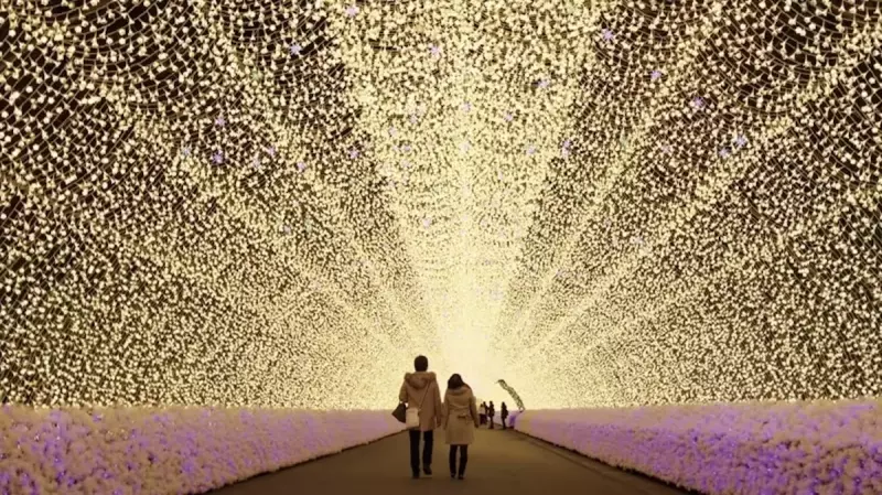 低山 登山 なばなの里