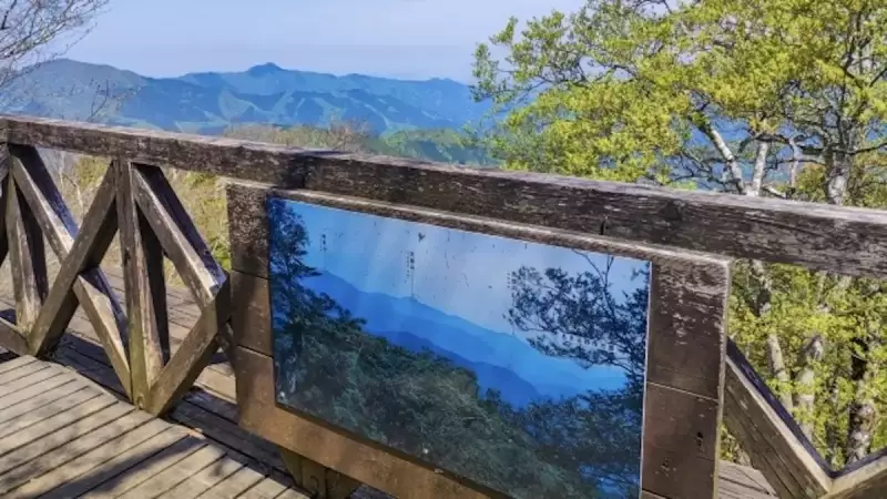 奥多摩 登山 三頭山
