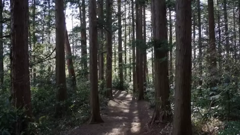 三浦アルプス 登山 南尾根縦走