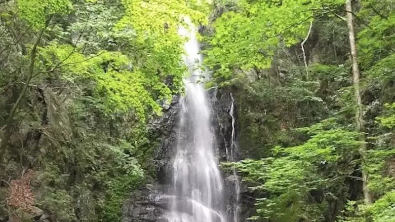 奥多摩 登山 川苔山 百尋ノ滝