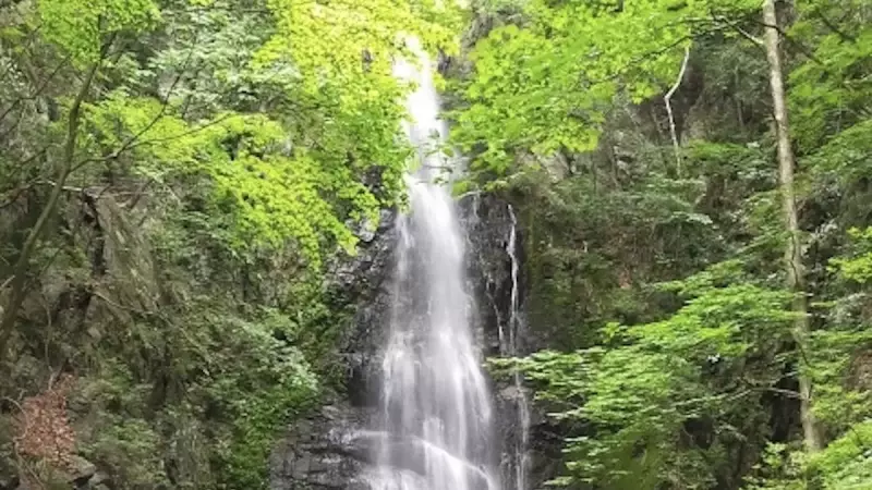 奥多摩 登山 川苔山 百尋ノ滝