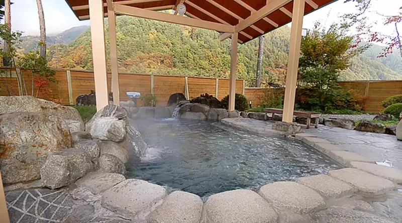 早太郎温泉 こまくさの湯