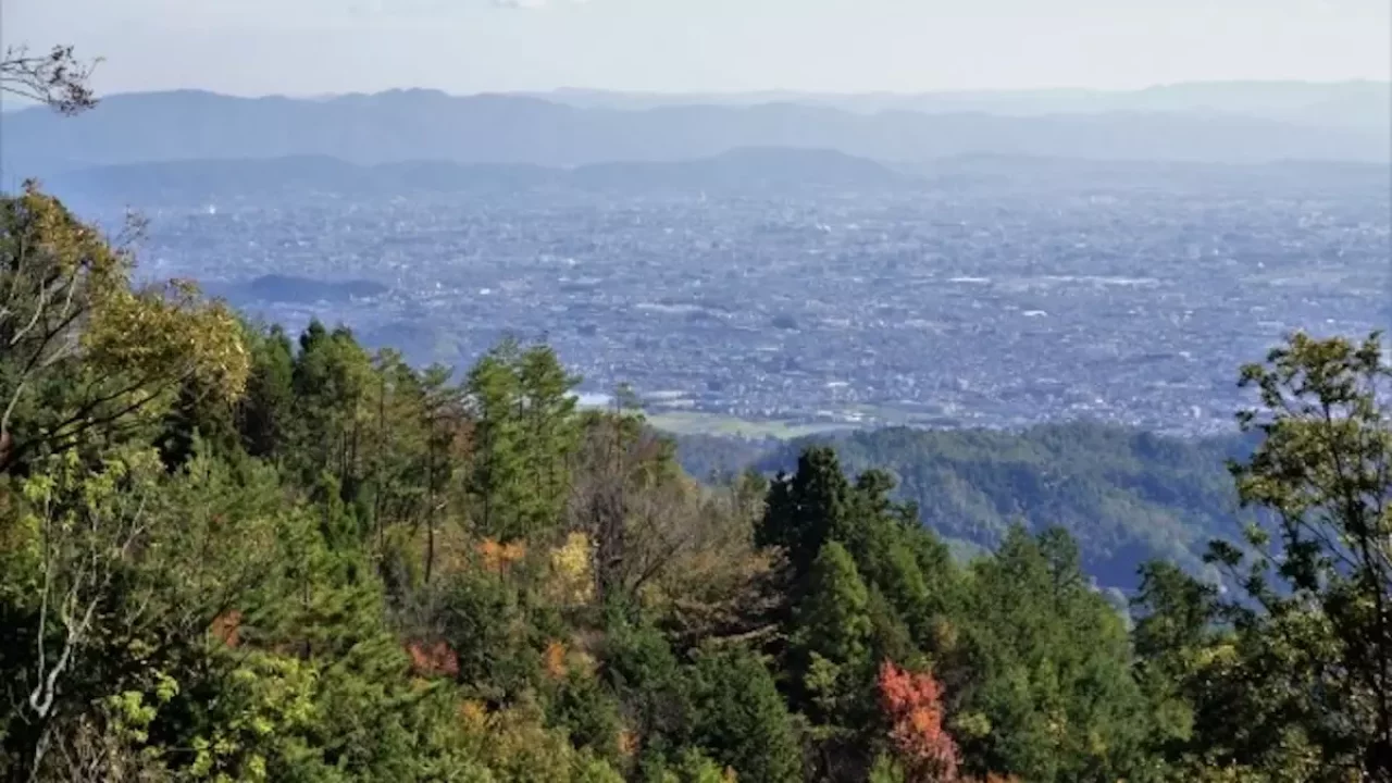 愛宕山 登山 京都の市街地