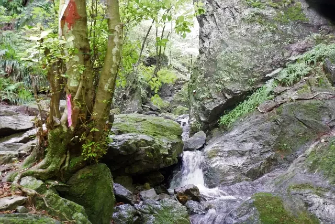 棒ノ折山の白谷沢の沢登り