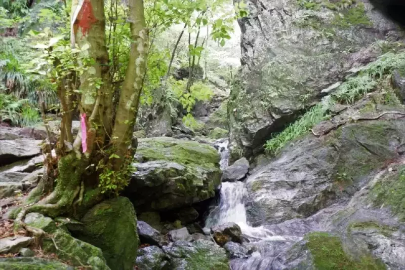 棒ノ折山の白谷沢の沢登り