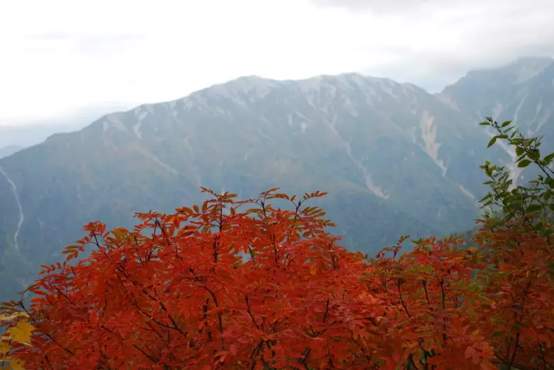 針ノ木岳の紅葉