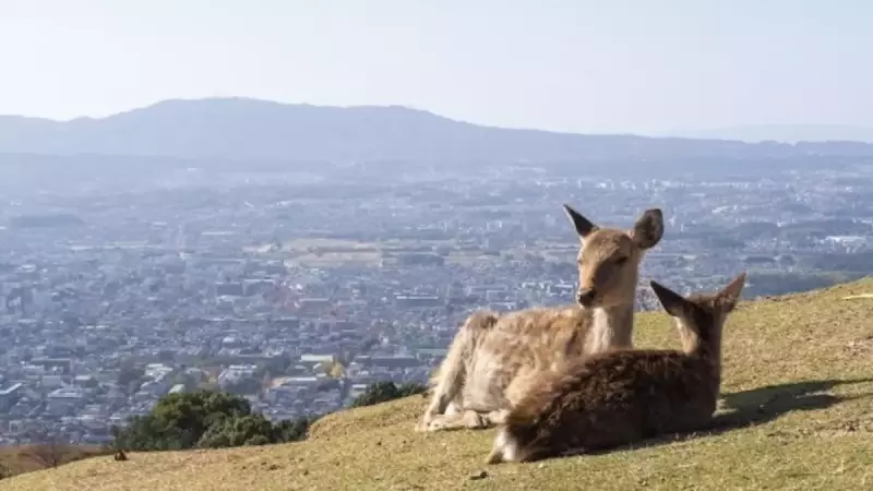 低山 ハイキング 関西