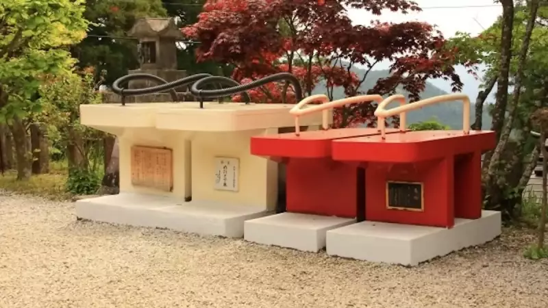 飯能アルプス 登山 子の権現