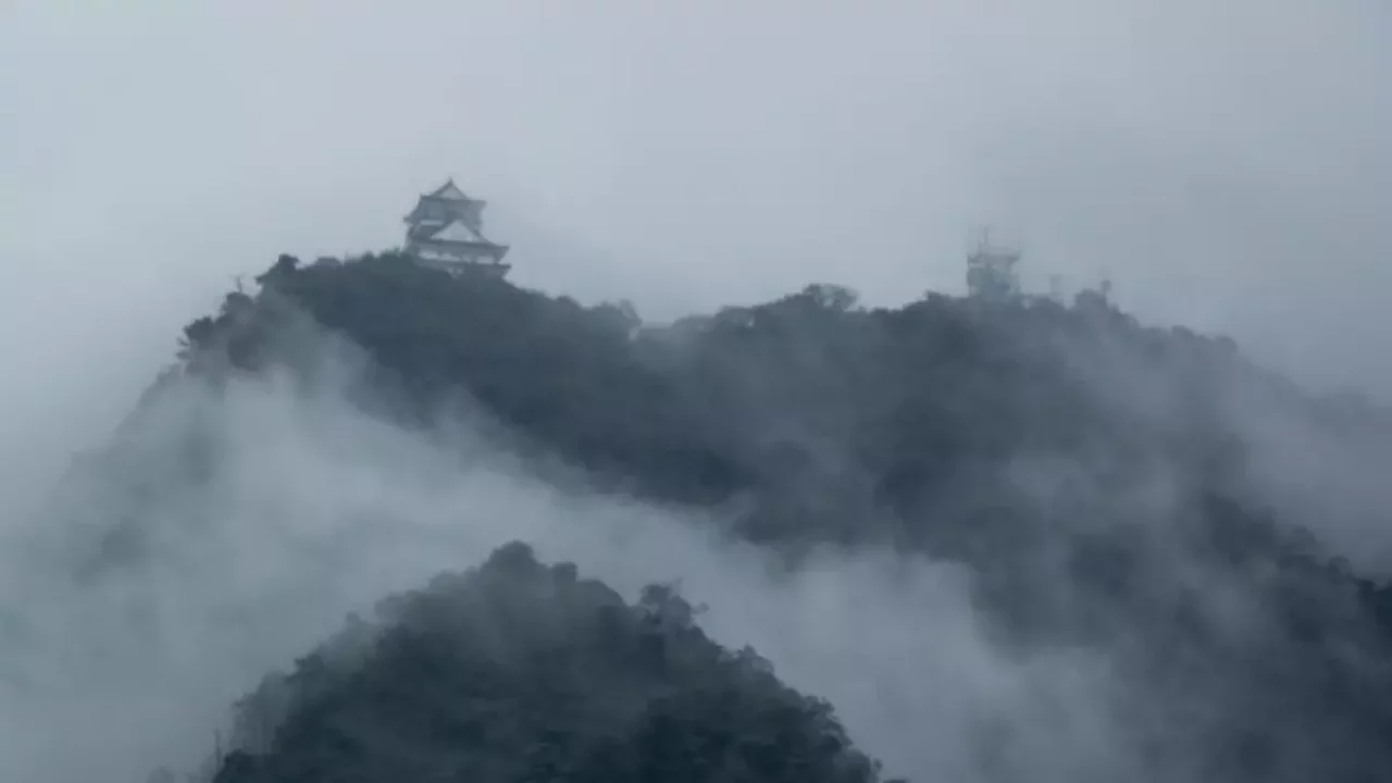 低山 登山 金華山