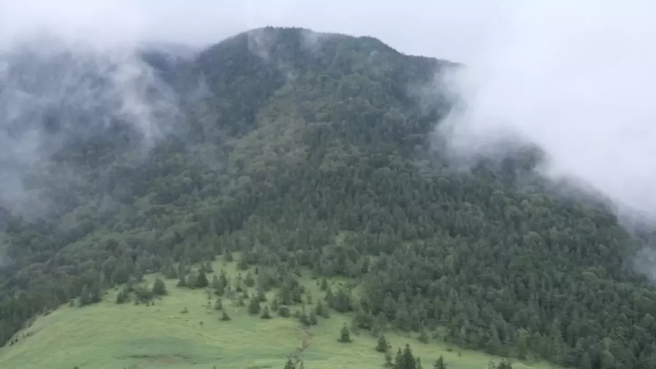 群馬 登山 四阿山