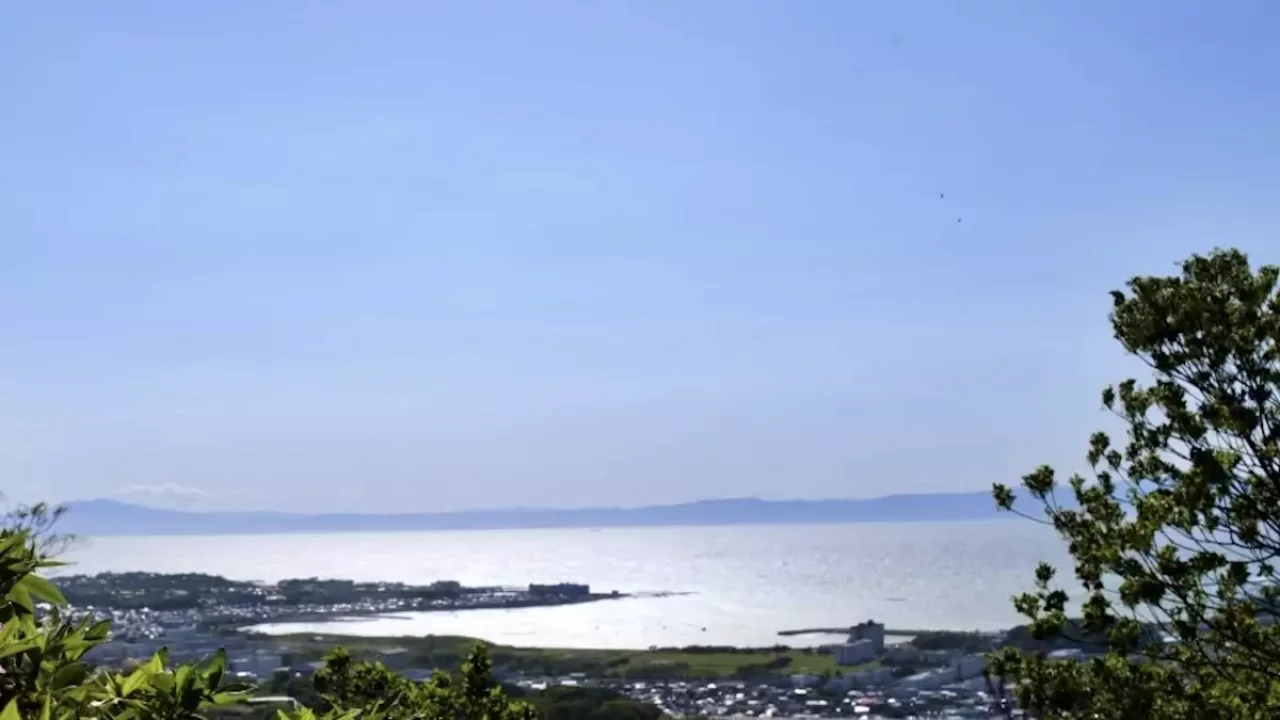 三浦アルプス 登山 駿河湾