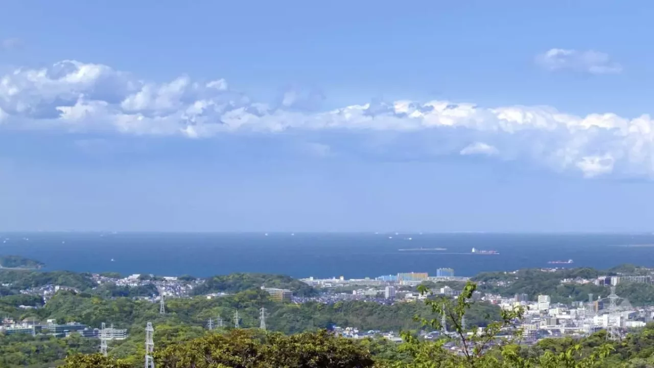 三浦アルプス 登山 二子山山頂