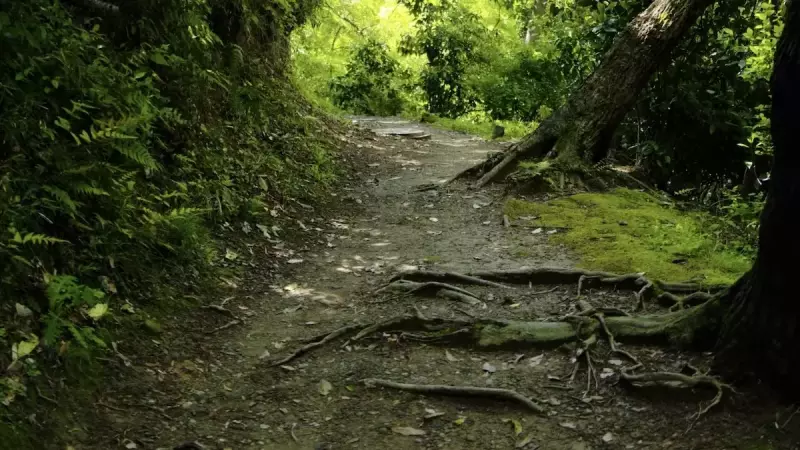 三浦アルプス 登山 二子山