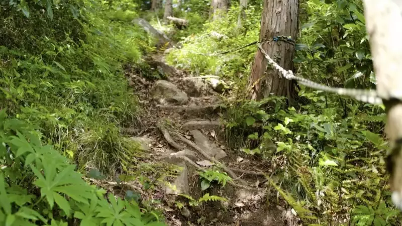 沼津アルプス 香貫山〜横山