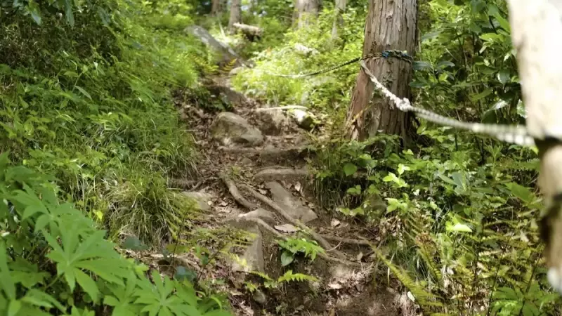 沼津アルプス 香貫山〜横山