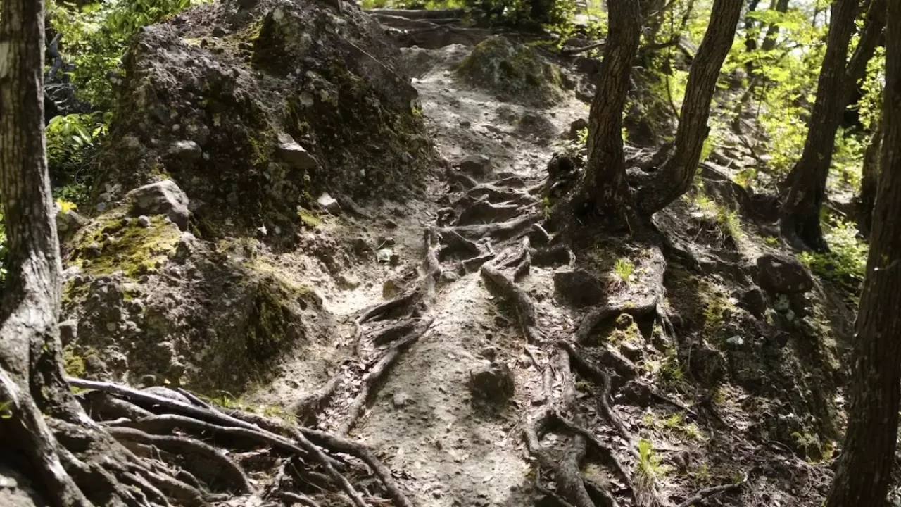 沼津アルプス 茶臼山登山道