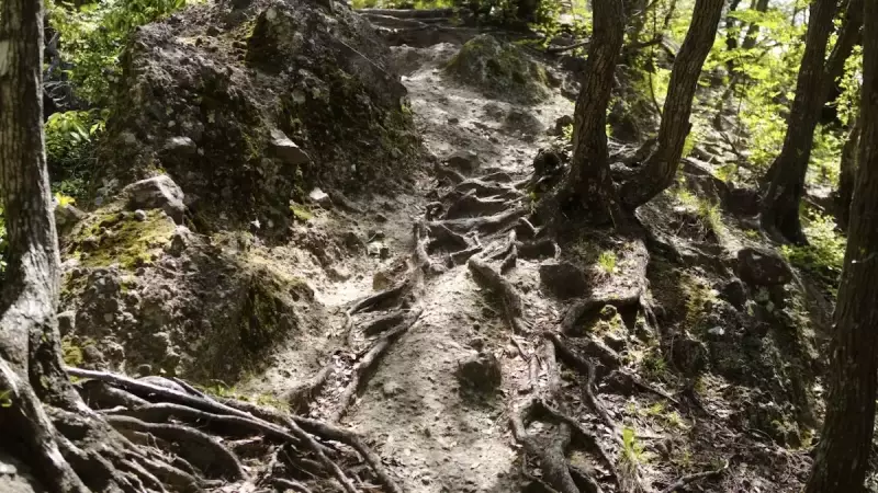 沼津アルプス 茶臼山登山道