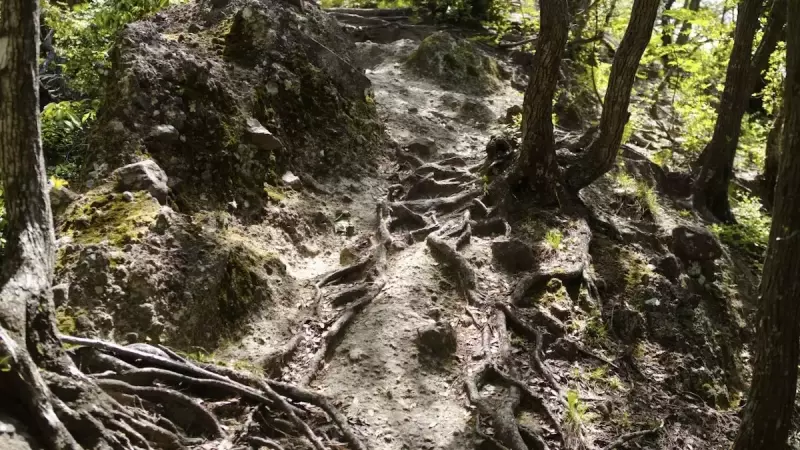 沼津アルプス 茶臼山登山道