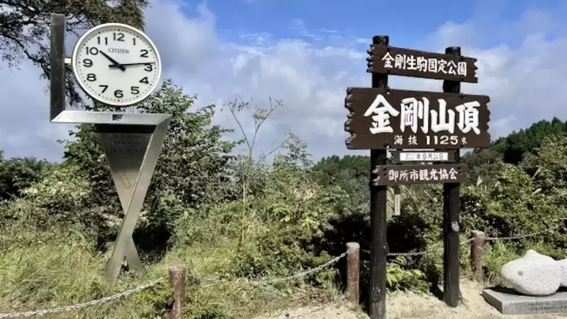 関西 登山 金剛山