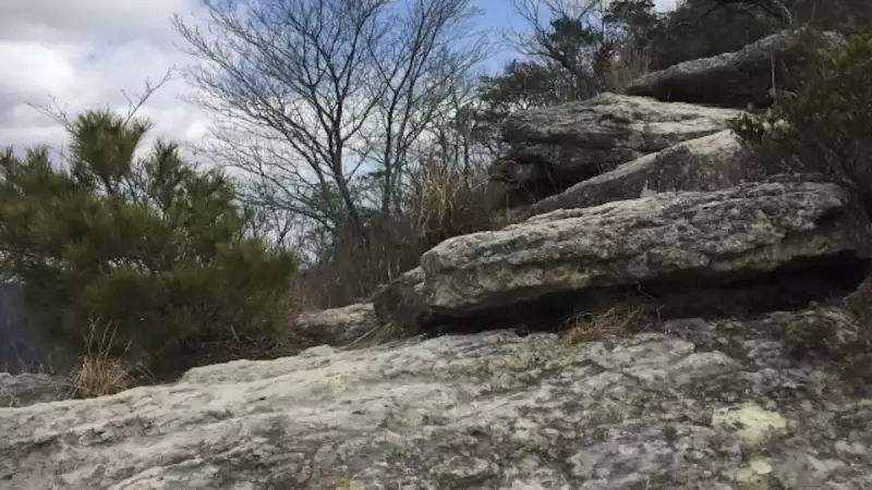 関西 登山 高御位山