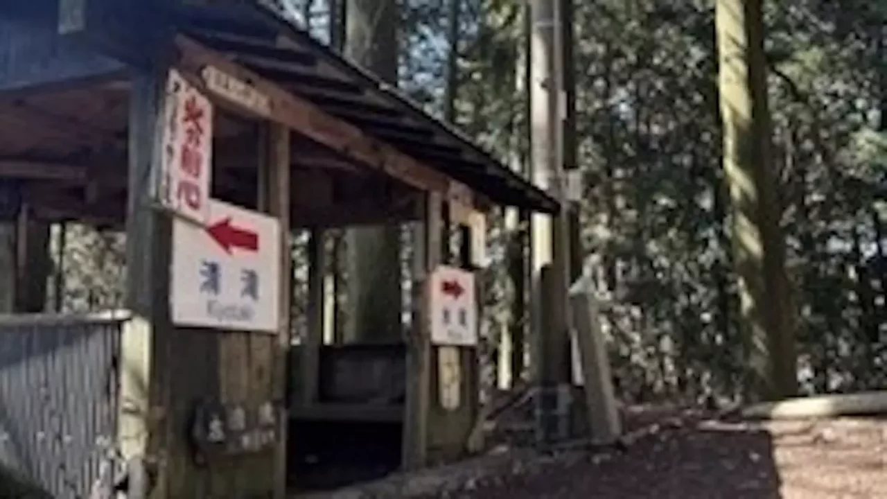 愛宕山 登山 水尾の分かれ道