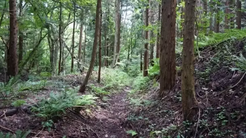 三浦アルプス 登山 南尾根