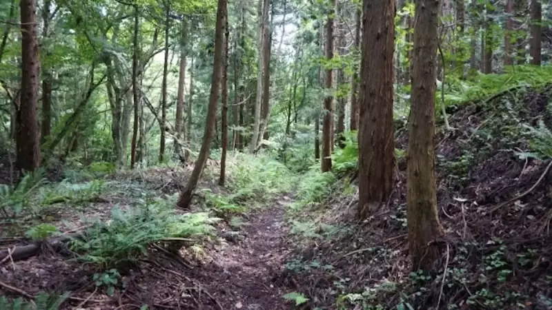 三浦アルプス 登山 南尾根