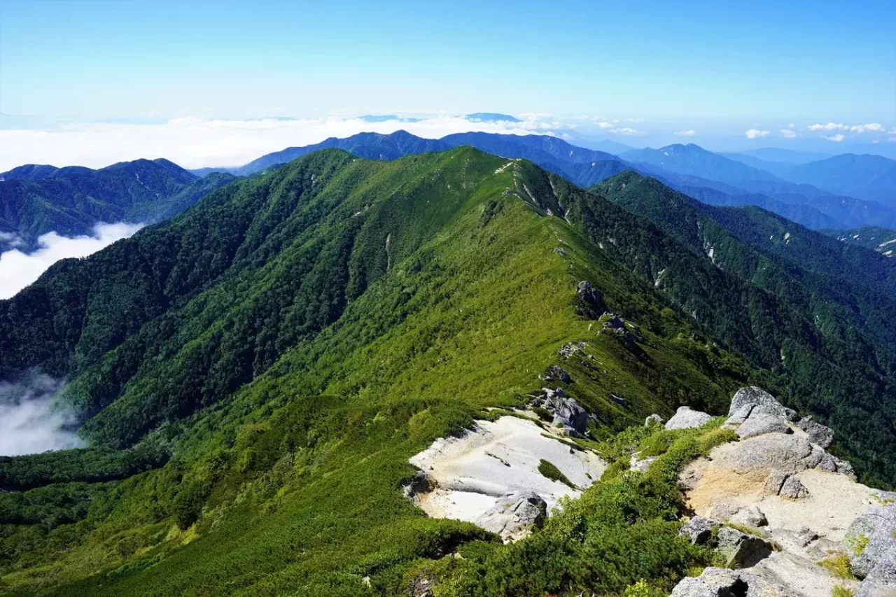 仙涯嶺から越百山を見る