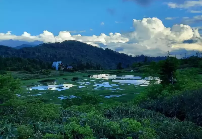 湿原と高谷池ヒュッテ
