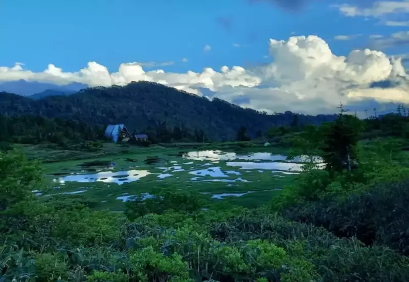 湿原と高谷池ヒュッテ