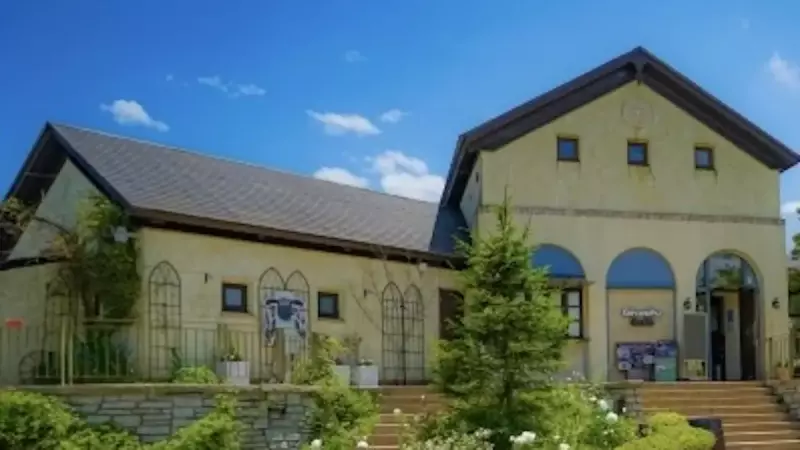 六甲山 登山 紅葉 六甲ガーデンテラス