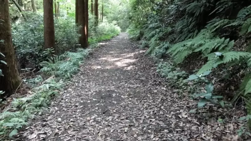 鎌倉アルプス 登山道