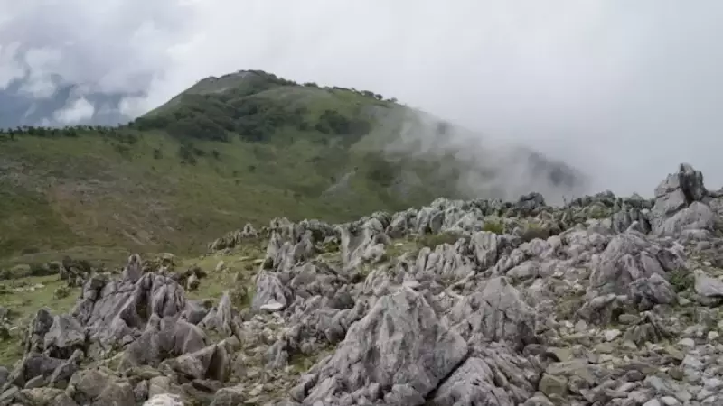 関西 登山 霊仙山