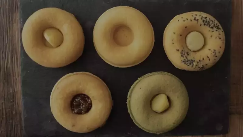 低山 ハイキング 関西 まめ清