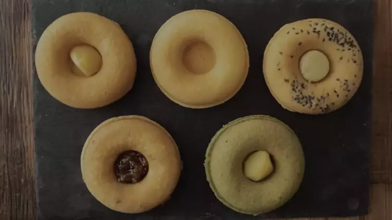 低山 ハイキング 関西 まめ清