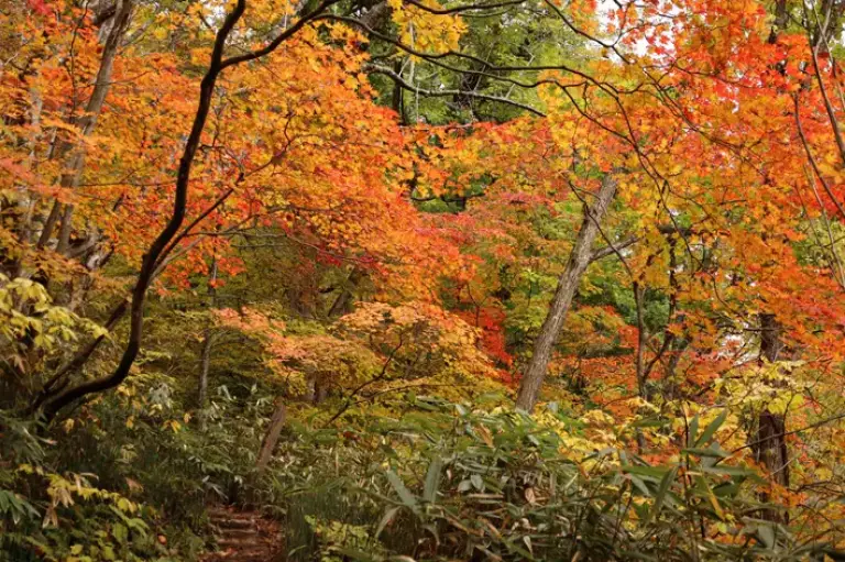 梵珠山 登山