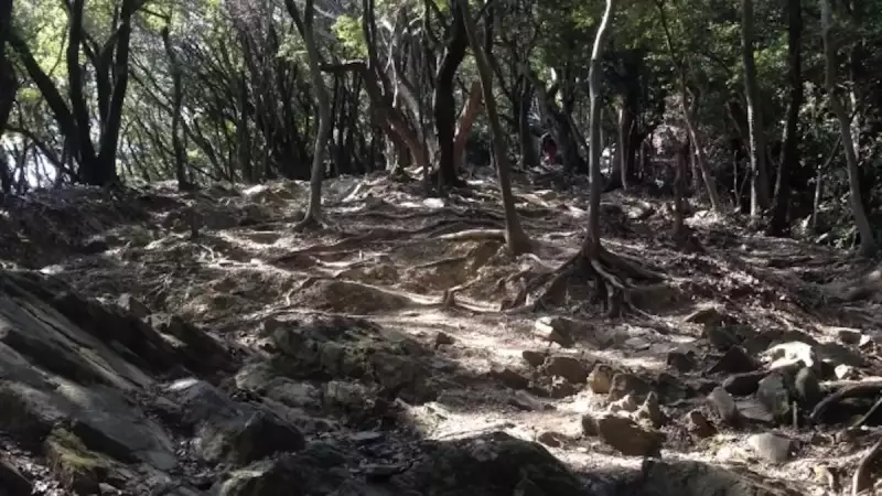 大船山登山今水登山ルート