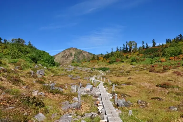 火打山の木道