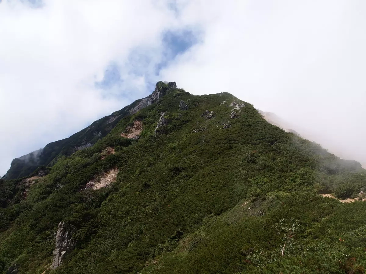 雄大な大雪渓とお花畑が魅力!針ノ木岳の初心者向け日帰り登山とその他ルート紹介