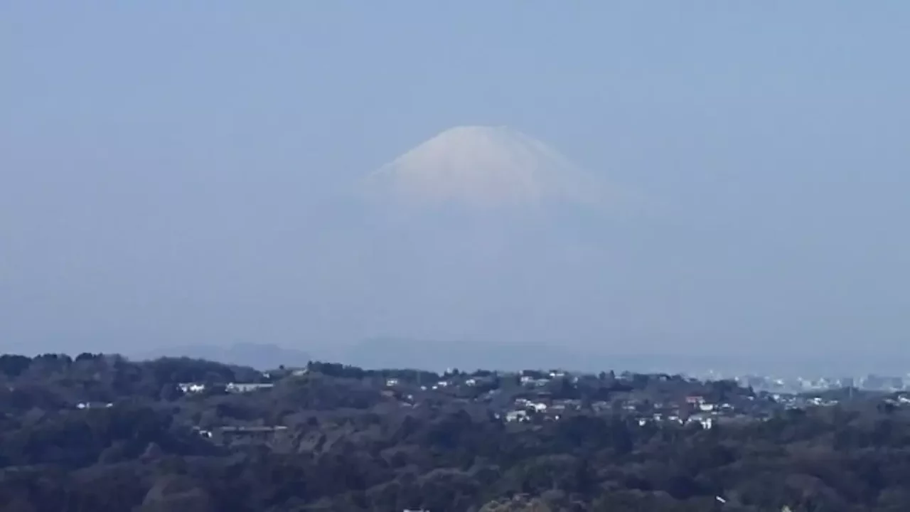 鎌倉アルプス 衣張山山頂