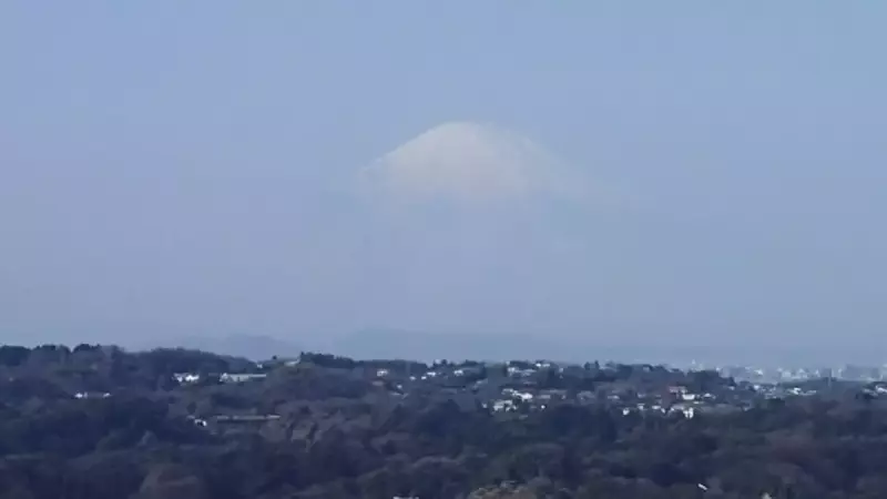 鎌倉アルプス 衣張山山頂